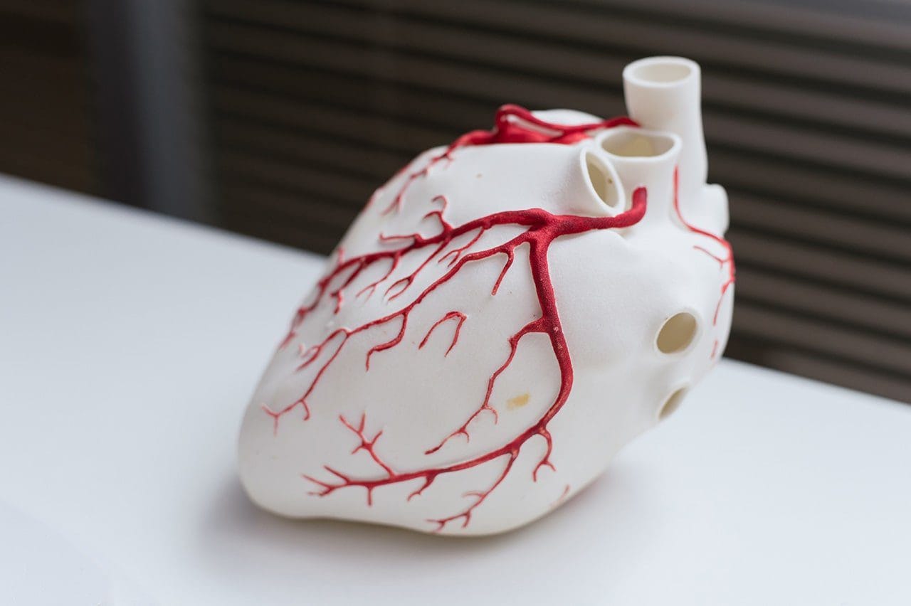 3d printing heart