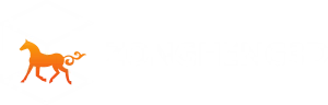 Zongheng3d Site Logo